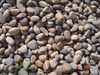 Pebble Stone 6 Natural Pebble Garden Products Good Price 
