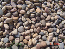 Pebble Stone 6 Natural Pebble Garden Products Good Price 