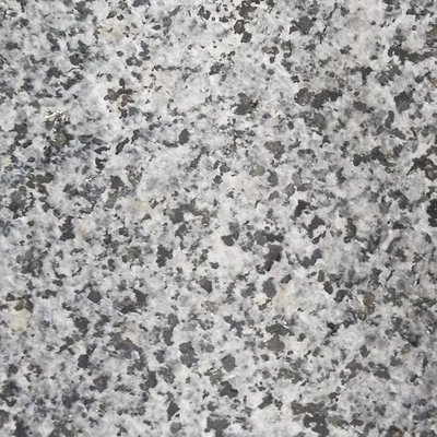 G654HN Granite New G654 Granite Tiles Chinese Dark Grey Granite 